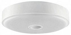 Потолочная лампа Xiaomi Yeelight LED Induction Mini (White) купить в интернет-магазине icover
