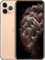 Смартфон Apple iPhone 11 Pro Max 64Gb MWHG2RU/A (Gold)