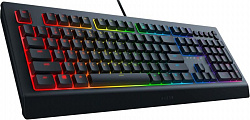 Игровая клавиатура Razer Cynosa V2 (RZ03-03400700-R3R1) купить в интернет-магазине icover