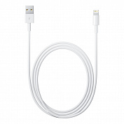 Кабель для iPhone, iPad Apple Lightning to USB Cable MD818Z/MA (White) купить в интернет-магазине icover